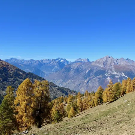 Next To Cable Car * Nendaz